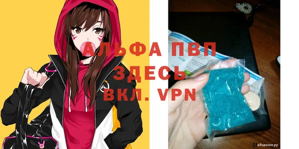 стаф Богородицк