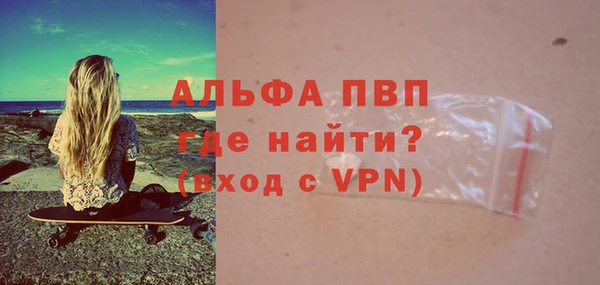 спиды Богородск