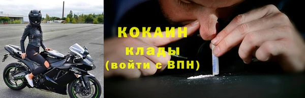 стаф Богородицк