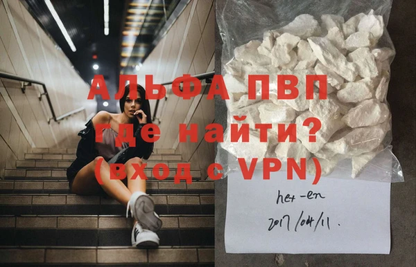 стаф Богородицк