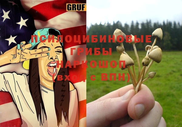 прущая мука Богданович