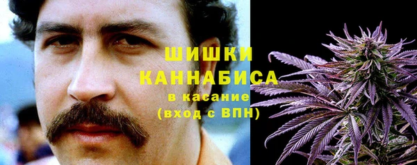 спиды Богородск