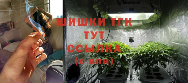 стаф Богородицк