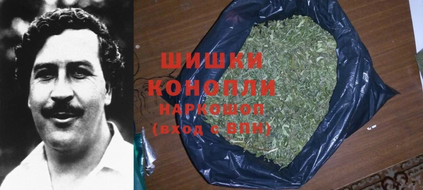 прущая мука Богданович