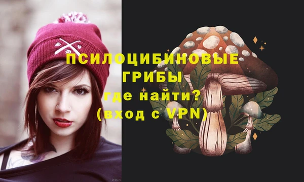 стаф Богородицк