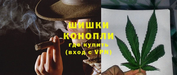 стаф Богородицк