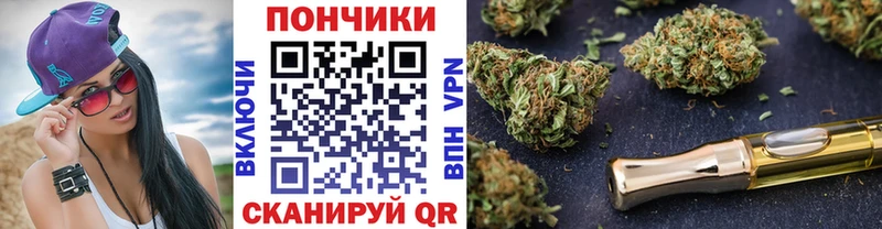 Шишки марихуана сатива  где купить наркотик  МЕГА ССЫЛКА  Ставрополь 